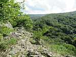 IMG_9458