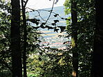 IMG_9586