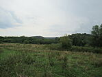 IMG_9532