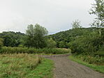 IMG_9533