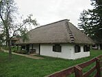 IMG_9890