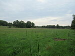 IMG_9929