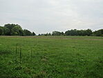 IMG_9930