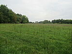 IMG_9932