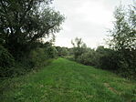 IMG_9936
