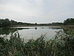 IMG_9940