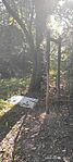 IMG_20250927_092436