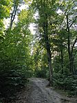 IMG_20250906_172849
