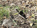 IMG_20250901_150003