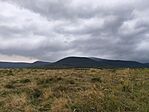 IMG_20250908_125224