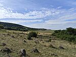 IMG_20250910_104732