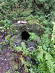 IMG_20250912_120628