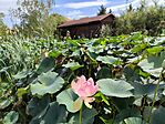 IMG_20250918_123746