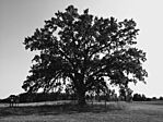 IMG_20250907_154558157