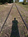 IMG_20250907_161330382
