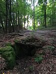 IMG_20250915_164608154