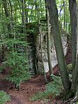 IMG_20250915_165205674