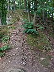 IMG_20250915_165235444