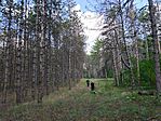 IMG_20250831_134421