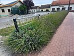 IMG_20250831_121139