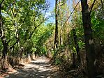 IMG_20250823_104026