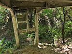 IMG_20250819_123805