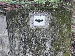 IMG_20250817_185909