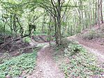 IMG_20250817_173320