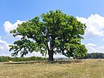 IMG_20250816_121759