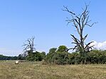 IMG_20250816_121902