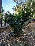 IMG20250907172246