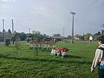 20250913_090343