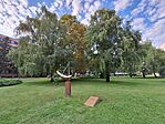 Nyíregyháza, Egyetemi Park