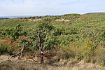 Kilátás