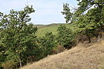 Kilátás 3