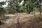 Úton
