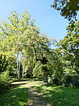 P1070875