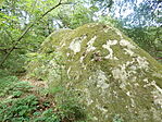 P1080506