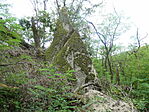 P1080520