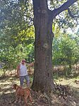 IMG_20250905_131735