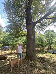 IMG_20250905_131744