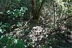 DSC02632