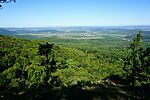 DSC02734