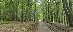 IMG_20250525_165350