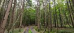 IMG_20250525_170112