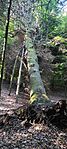 IMG_20250527_081257