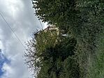 IMG_1041