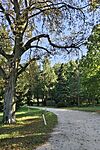 IMG_20250920_162941