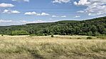 IMG_20250801_164249
