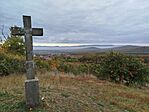 IMG_20251017_083644